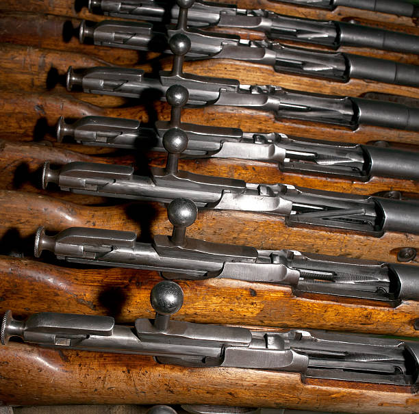 istock The gate of the old rifles 519550246