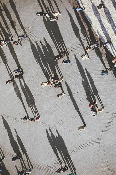 istock People with lolg shadows, top view 519555314