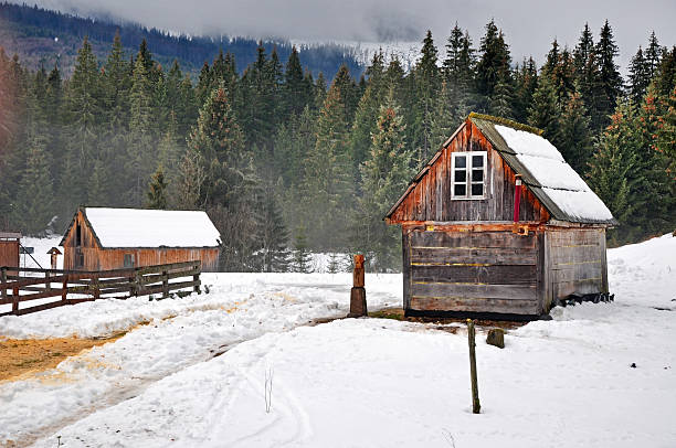 istock Wooden house in winter forest 519555317