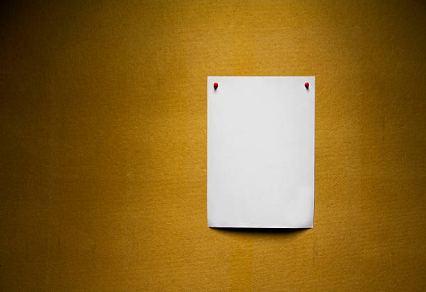 istock White paper on plywood 519555621