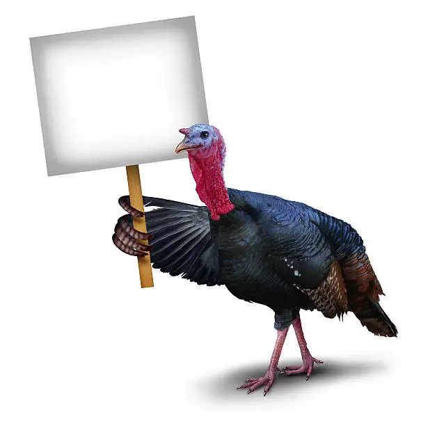 Photo of Turkey Bird Sign