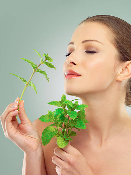 The soothing smell of mint