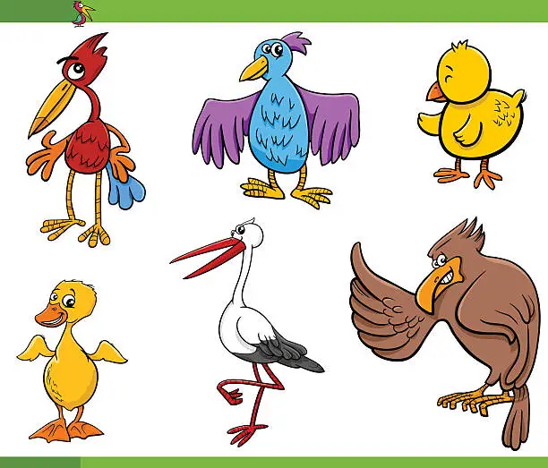 Vector illustration of birds cartoon set illustration