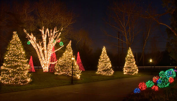 House with Christmas Lights stock photo