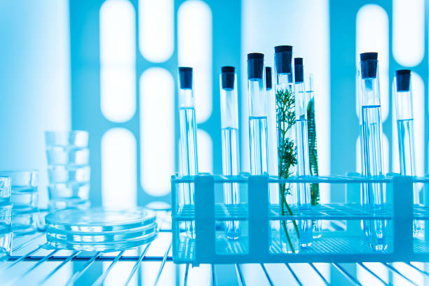 istock Biology investigation in laboratory 519558381
