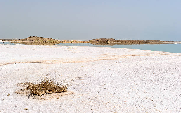istock Dead Sea, borders Israel, Palestine amd Jordan 519558483