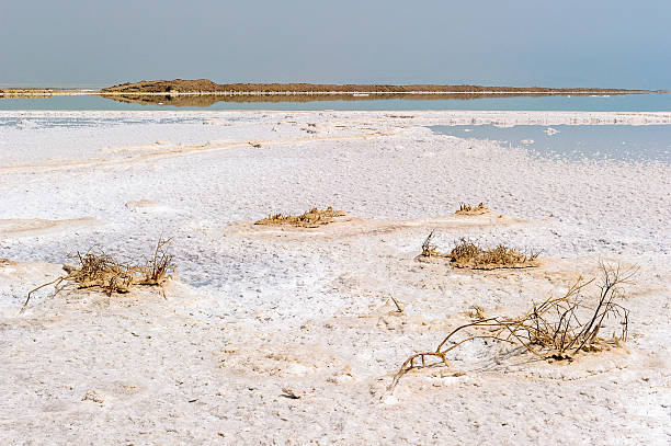 istock Dead Sea, borders Israel, Palestine amd Jordan 519558493