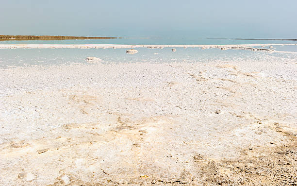 istock Dead Sea, borders Israel, Palestine amd Jordan 519558495