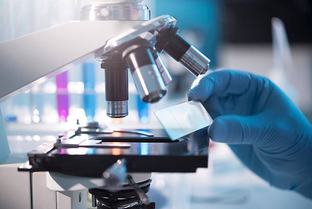 microscope - hastalık stok fotoğraflar ve resimler