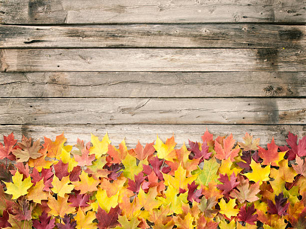 istock Autumn leaves border on wood 519560337
