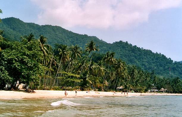 istock Lonely Beach, Koh Chang - Thailand 519560353