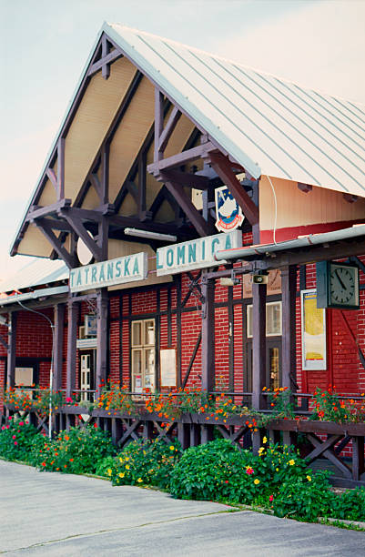 istock Train Station in Tatranska Lomnica 519560405