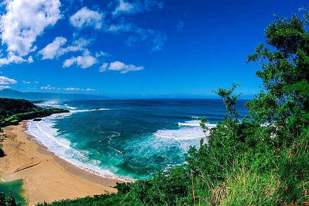 istock Big winter surf at Waimea Bay 519560535