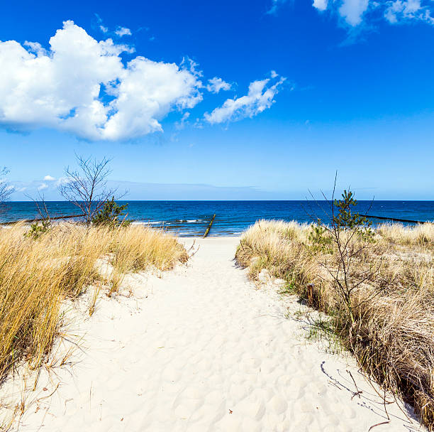 istock levee with sandy path to beach at baltic sea 519561095