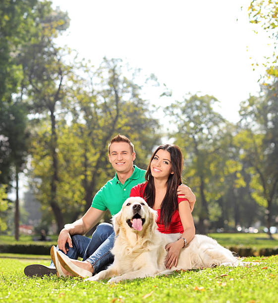 istock Young couple sitting in park with a dog 519562433
