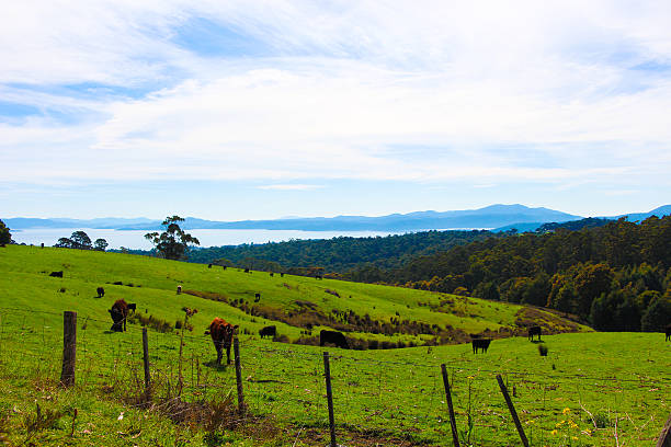 Gorgeous Tasmanian Landscape stock photo