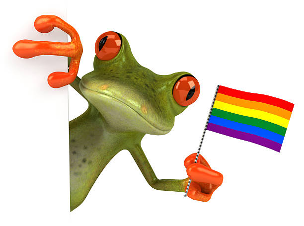 grenouille - frog three dimensional shape animal green photos et images de collection