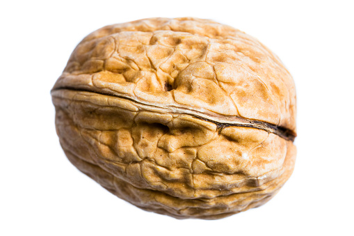 Dried walnut isolated on a white background closeup