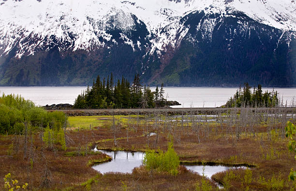 Snow Mountain Range Two Lakes Ocean Seward Highway Anchorage Alaska Snow Mountain Range, Two Lakes, Ocean, Seward Highway, Anchorage, Alaska seward alaska stock pictures, royalty-free photos & images