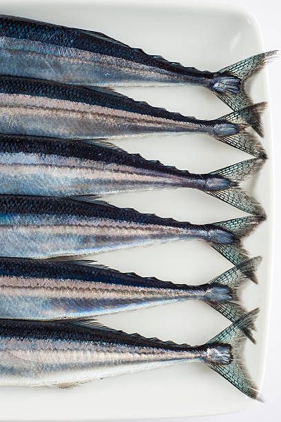 istock Fresh needlefish for a healthy diet 519572355