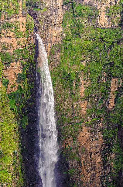 istock Nature of Ethiopia 519573029