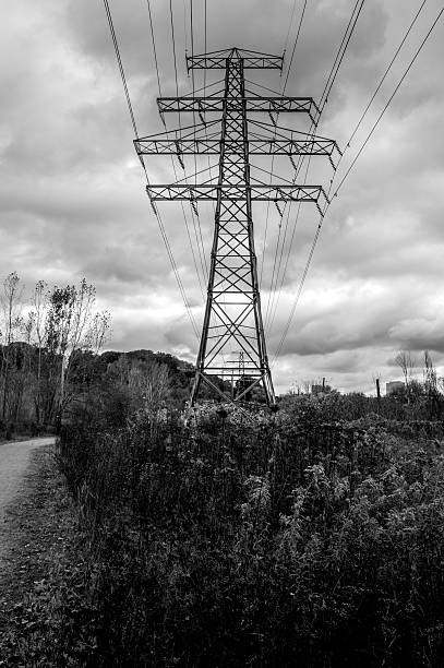Taken during a hike in Crothers' Woods And Lower Don River Trails on a beautiful Autumn Day just before it started raining.