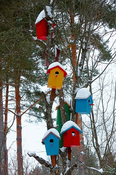 istock Multicolored birdhouses on a tree in winter 519573400