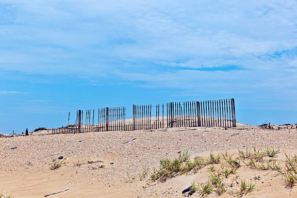 istock dunes are protected by wooden fences 519574171