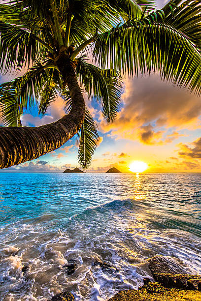 Splash Sunrise at Lanikai Beach in Kailua, Oahu oahu stock pictures, royalty-free photos & images