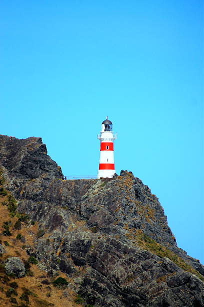 istock Light House at Cape Palliser, New Zealand 519575442