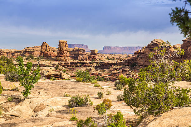 istock Canyonlands National Park 519575801