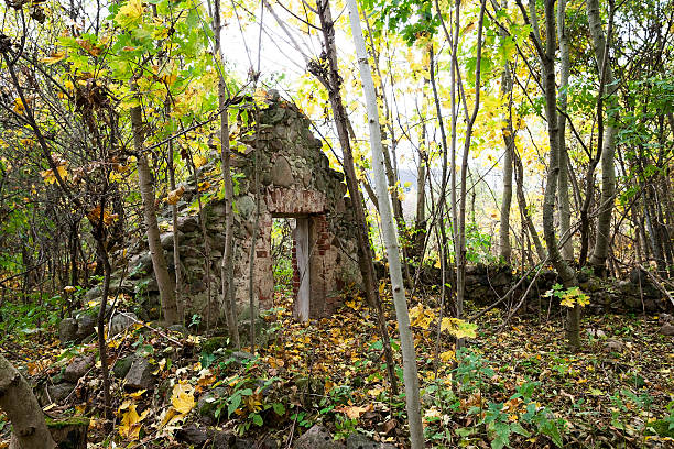 istock the ruins of an old building 519576114