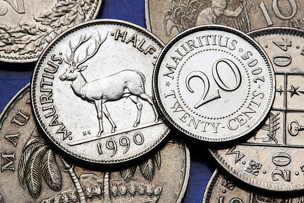 istock Coins of Mauritius 519576207
