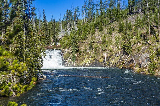 istock Yellowstone National Park 519576273
