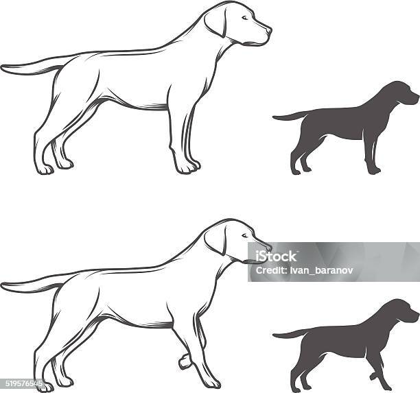 Chiens Dans Diverses Poses Isolé Sur Fond Blanc Vecteurs libres de droits et plus d'images vectorielles de Retriever du Labrador - Retriever du Labrador, Tête d'un animal, Chien