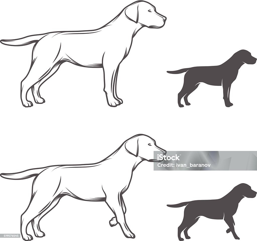 Dog in different poses isolated on white background Illustration of a dog in different poses isolated on white background. Animal Head stock vector