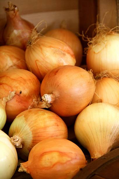 istock Locally Grown Onions 519579074