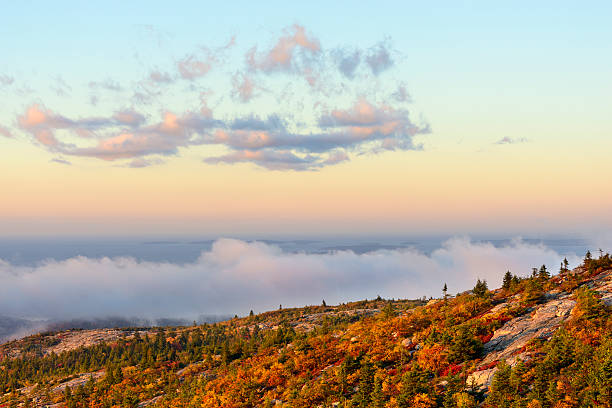 마운틴 뷰 추절, 안개 속 일출 - cadillac mountain maine new england usa 뉴스 사진 이미지