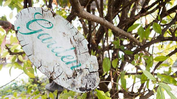 istock old garden sign with nature background 519582214