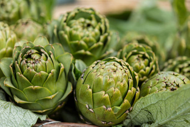 istock Artichoke in garden Artichoke 519586020