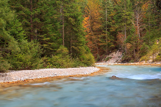 istock Mountain stream in the Lepena valley 519586493