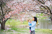 母と娘を楽しみながら、桜の花