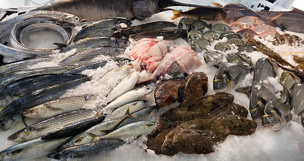 istock fish on mediterranean market counter 519586953