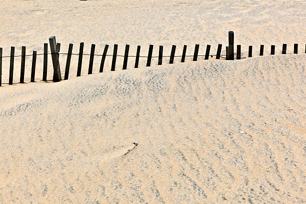istock dunes are protected by wooden fences 519588379