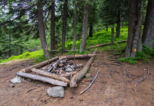 istock Campfire in the wood 519588686