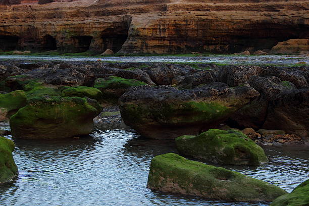 southern Argentina beach eroded by the tide