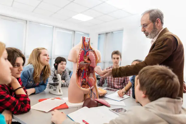 Photo of Group of students on an anatomy class in high school.