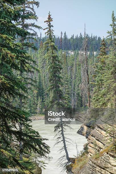 Athabasca Falls In Alberta Stock Photo - Download Image Now - Alberta, Athabasca Falls, Canada