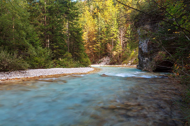 istock Mountain stream in the Lepena valley 519589433