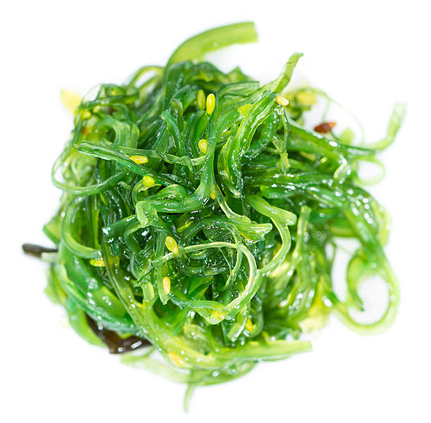 istock Kelp Salad isolated on white 519593567